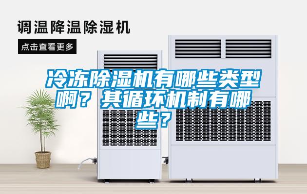 冷凍除濕機(jī)有哪些類型??？其循環(huán)機(jī)制有哪些？