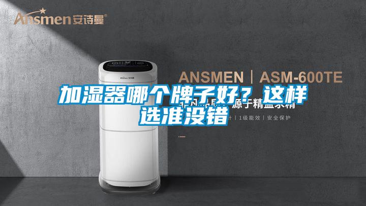 加濕器哪個牌子好？這樣選準沒錯