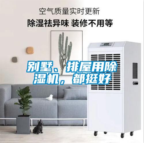別墅、排屋用除濕機(jī)，都挺好