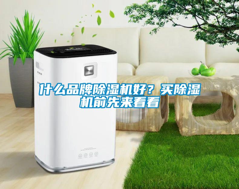 什么品牌除濕機(jī)好？買除濕機(jī)前先來看看