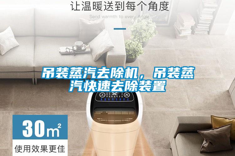 吊裝蒸汽去除機，吊裝蒸汽快速去除裝置