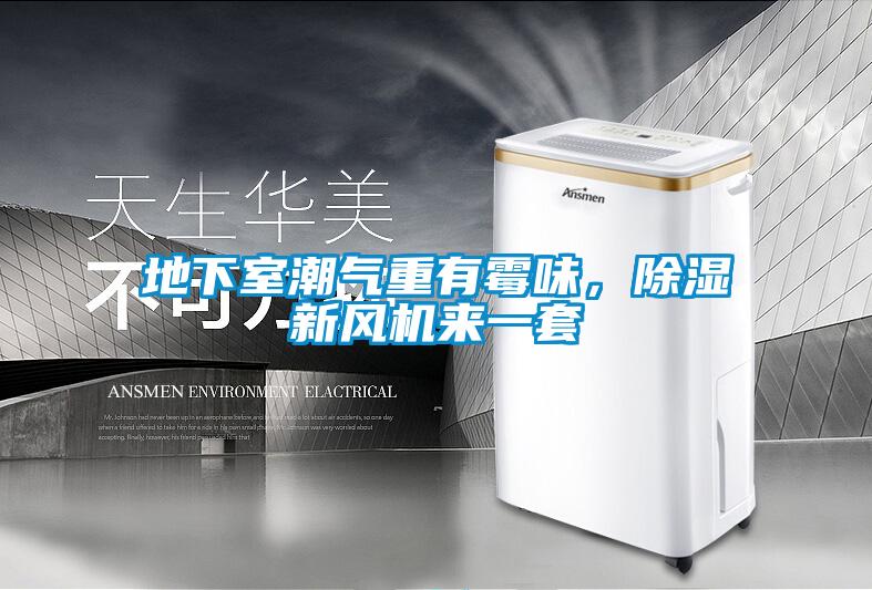 地下室潮氣重有霉味，除濕新風(fēng)機(jī)來(lái)一套