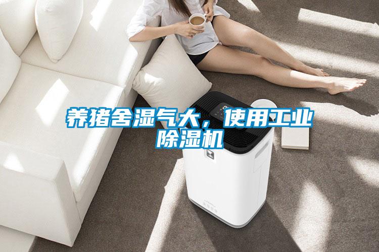 養(yǎng)豬舍濕氣大，使用工業(yè)除濕機(jī)