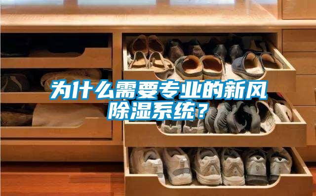 為什么需要專業(yè)的新風(fēng)除濕系統(tǒng)？