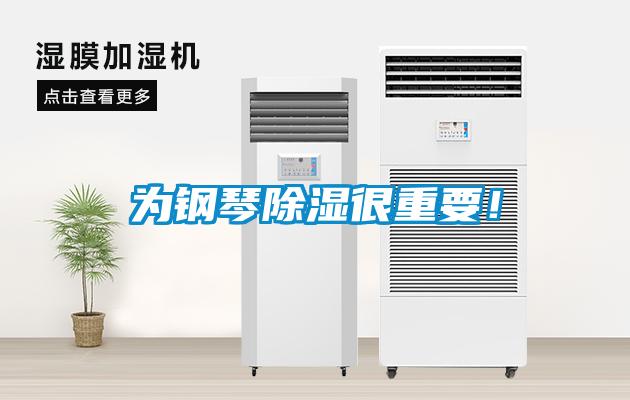為鋼琴除濕很重要！
