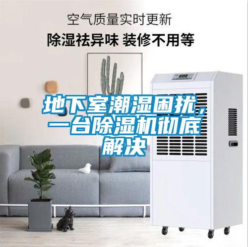 地下室潮濕困擾，一臺(tái)除濕機(jī)徹底解決