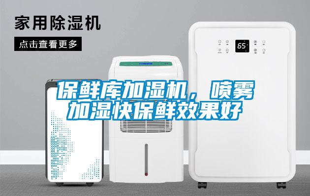 保鮮庫加濕機(jī)，噴霧加濕快保鮮效果好
