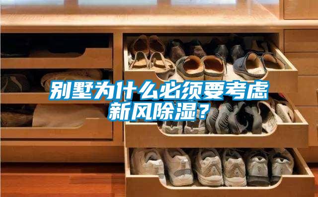 別墅為什么必須要考慮新風(fēng)除濕？