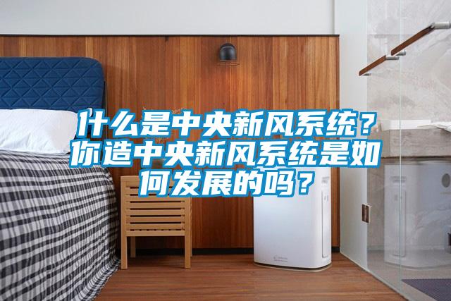 什么是中央新風系統(tǒng)？你造中央新風系統(tǒng)是如何發(fā)展的嗎？