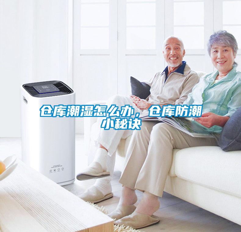 倉(cāng)庫(kù)潮濕怎么辦，倉(cāng)庫(kù)防潮小秘訣