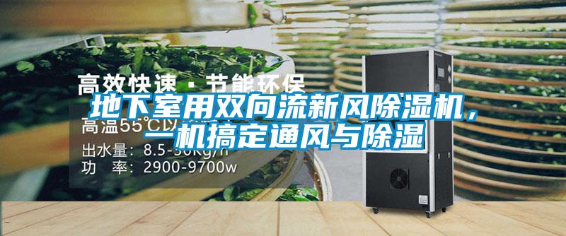 地下室用雙向流新風除濕機，一機搞定通風與除濕