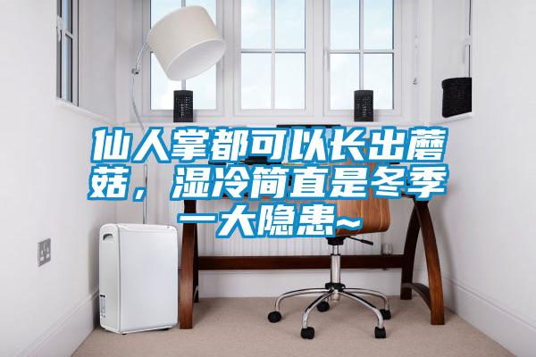 仙人掌都可以長出蘑菇，濕冷簡直是冬季一大隱患~