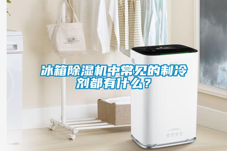 冰箱除濕機中常見的制冷劑都有什么？