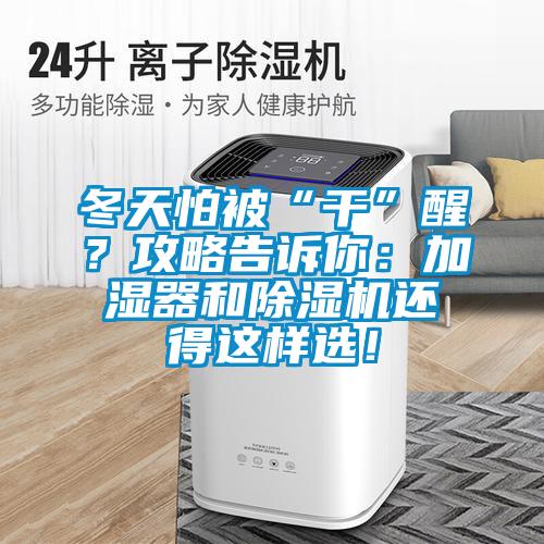 冬天怕被“干”醒？攻略告訴你：加濕器和除濕機還得這樣選！