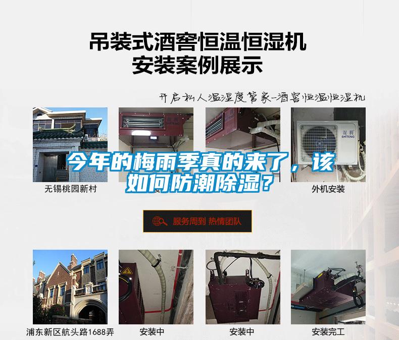今年的梅雨季真的來(lái)了，該如何防潮除濕？