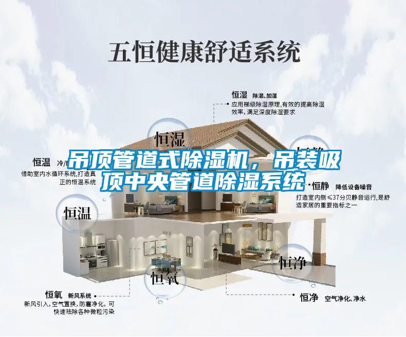 吊頂管道式除濕機，吊裝吸頂中央管道除濕系統(tǒng)