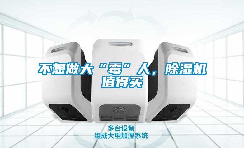 不想做大“霉”人，除濕機值得買