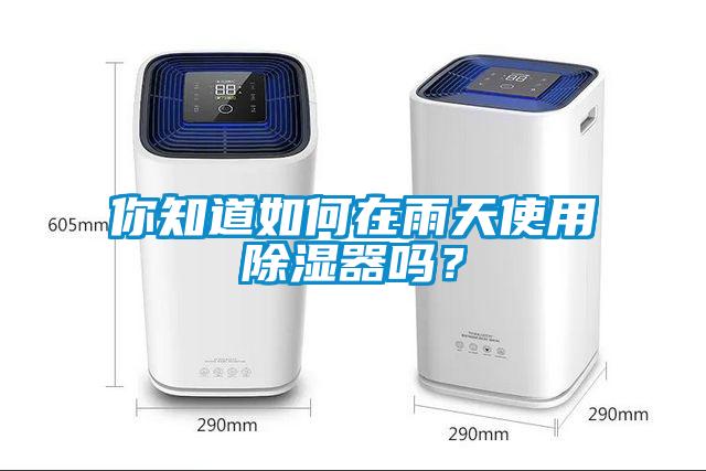 你知道如何在雨天使用除濕器嗎？
