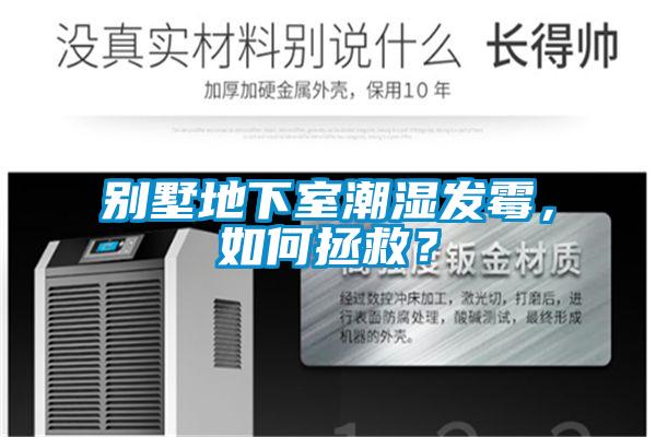 別墅地下室潮濕發(fā)霉，如何拯救？