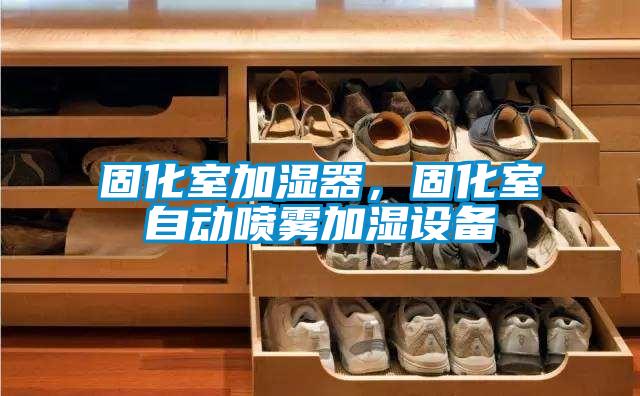 固化室加濕器，固化室自動噴霧加濕設備