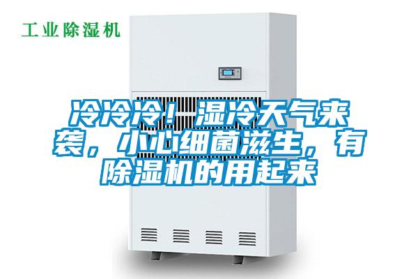 冷冷冷！濕冷天氣來襲，小心細菌滋生，有除濕機的用起來