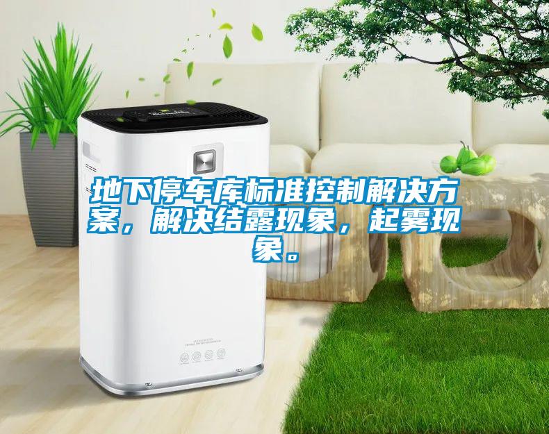 地下停車庫標(biāo)準(zhǔn)控制解決方案，解決結(jié)露現(xiàn)象，起霧現(xiàn)象。