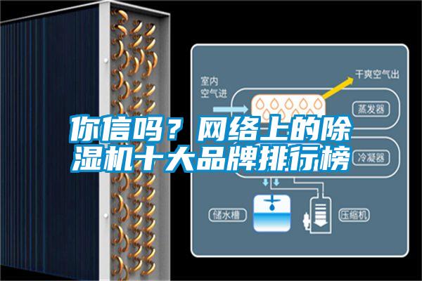 你信嗎？網(wǎng)絡上的除濕機十大品牌排行榜