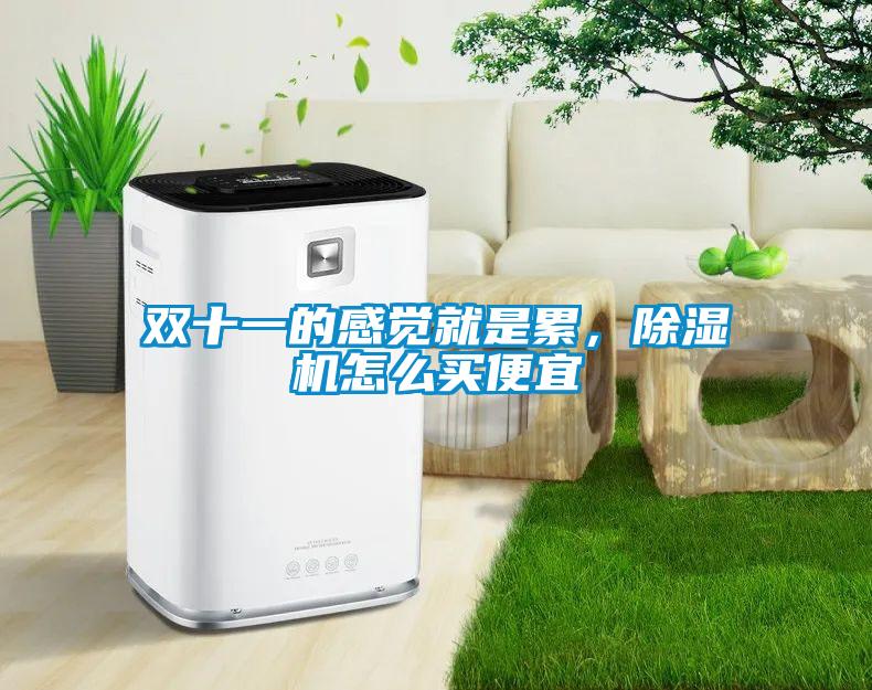 雙十一的感覺就是累，除濕機(jī)怎么買便宜