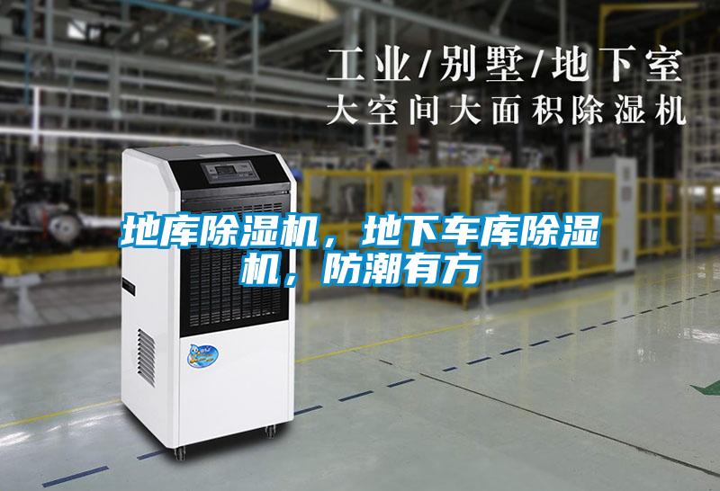 地庫(kù)除濕機(jī)，地下車庫(kù)除濕機(jī)，防潮有方