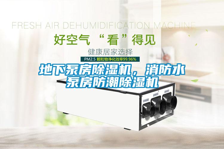 地下泵房除濕機(jī)，消防水泵房防潮除濕機(jī)