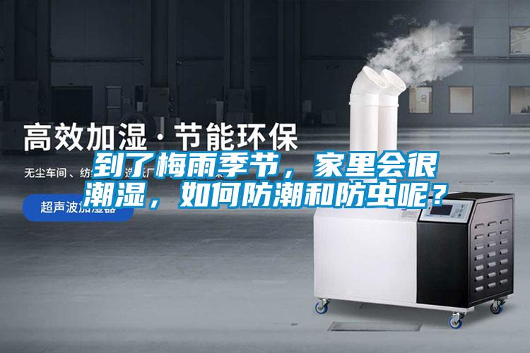 到了梅雨季節(jié)，家里會很潮濕，如何防潮和防蟲呢？