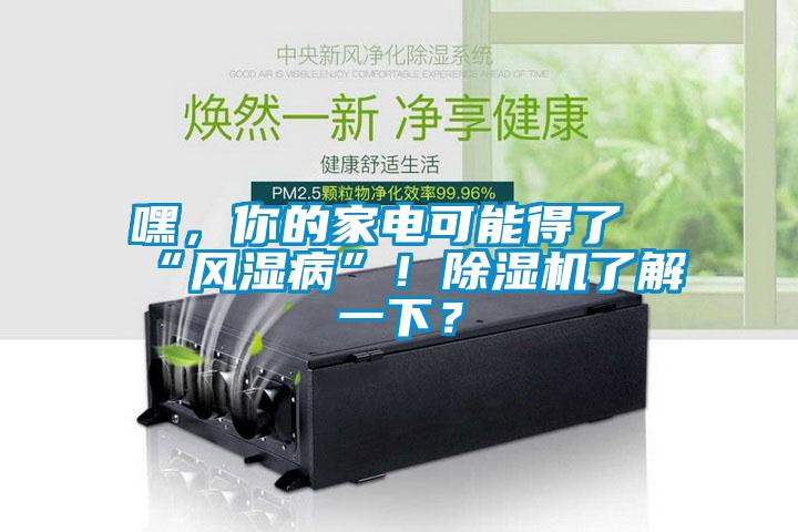 嘿，你的家電可能得了“風(fēng)濕病”！除濕機(jī)了解一下？