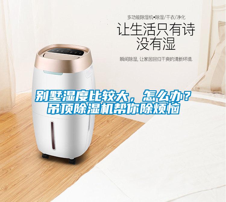別墅濕度比較大，怎么辦？吊頂除濕機(jī)幫你除煩惱