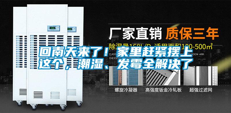 回南天來了！家里趕緊擺上這個，潮濕、發(fā)霉全解決了