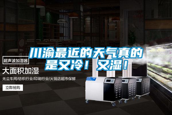 川渝最近的天氣真的是又冷！又濕！