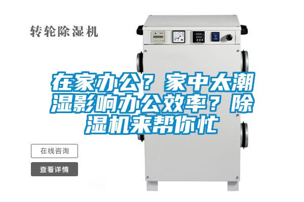 在家辦公？家中太潮濕影響辦公效率？除濕機來幫你忙