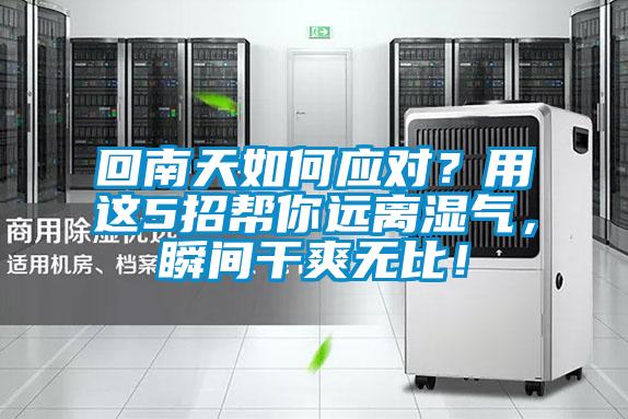回南天如何應(yīng)對(duì)？用這5招幫你遠(yuǎn)離濕氣，瞬間干爽無比！