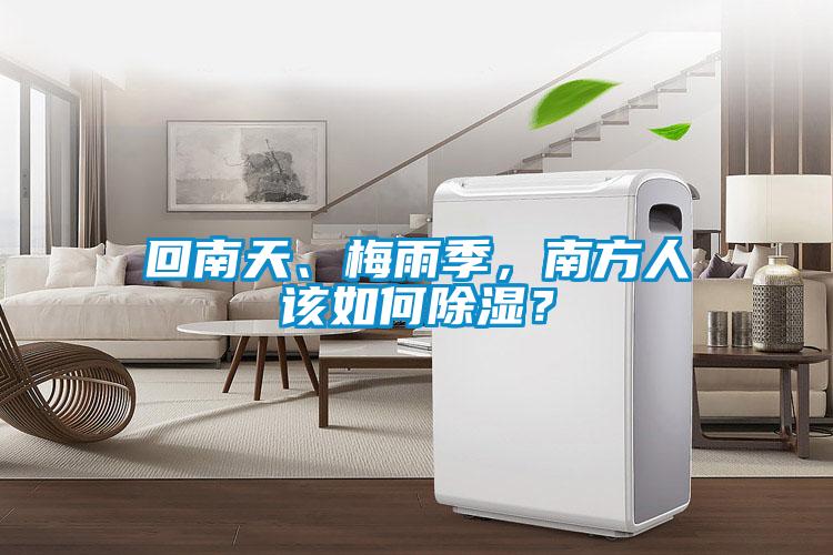 回南天、梅雨季，南方人該如何除濕？