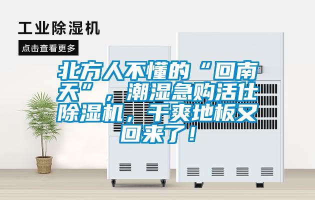 北方人不懂的“回南天”，潮濕急購活仕除濕機，干爽地板又回來了！