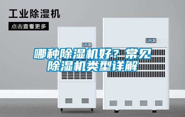 哪種除濕機好？常見除濕機類型詳解