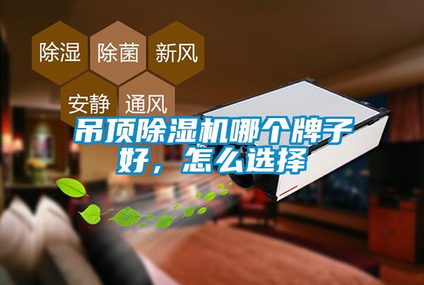 吊頂除濕機哪個牌子好，怎么選擇