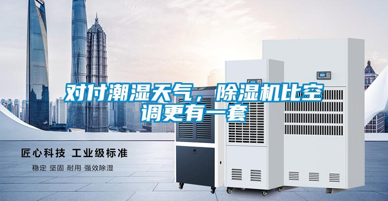 對付潮濕天氣，除濕機(jī)比空調(diào)更有一套