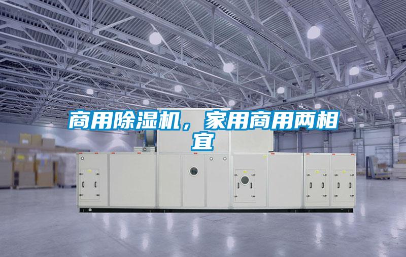 商用除濕機，家用商用兩相宜