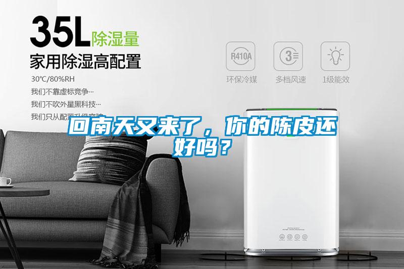 回南天又來了，你的陳皮還好嗎？