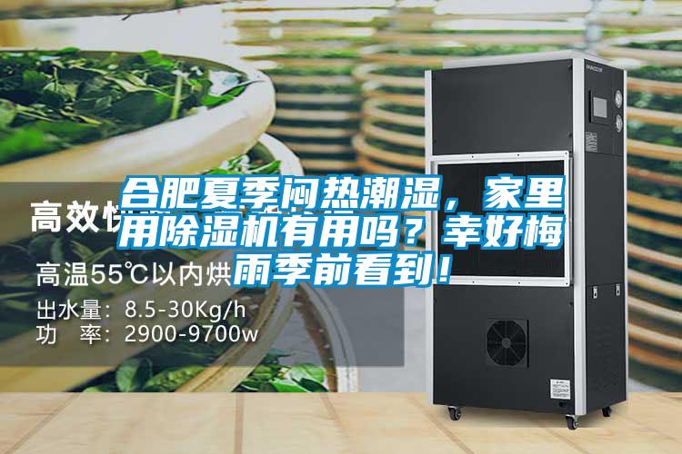 合肥夏季悶熱潮濕，家里用除濕機有用嗎？幸好梅雨季前看到！