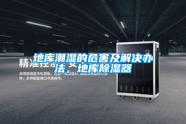 地庫潮濕的危害及解決辦法，地庫除濕器