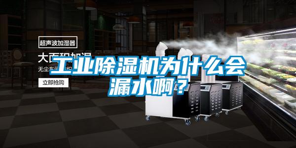 工業(yè)除濕機為什么會漏水?。?/></p>
						    <p style=