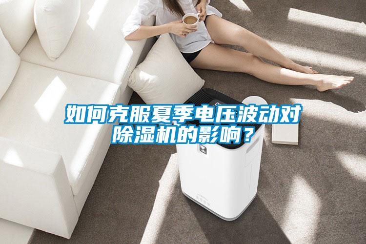 如何克服夏季電壓波動對除濕機的影響？
