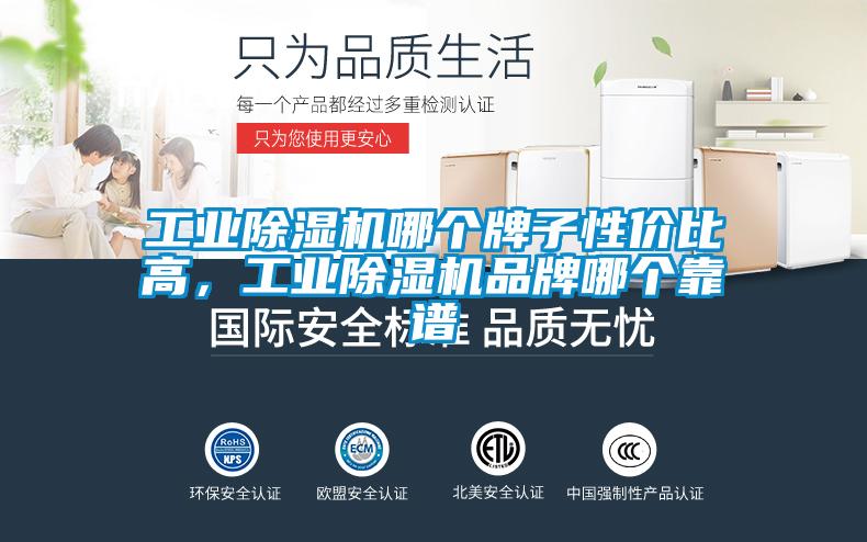 工業(yè)除濕機(jī)哪個(gè)牌子性?xún)r(jià)比高，工業(yè)除濕機(jī)品牌哪個(gè)靠譜