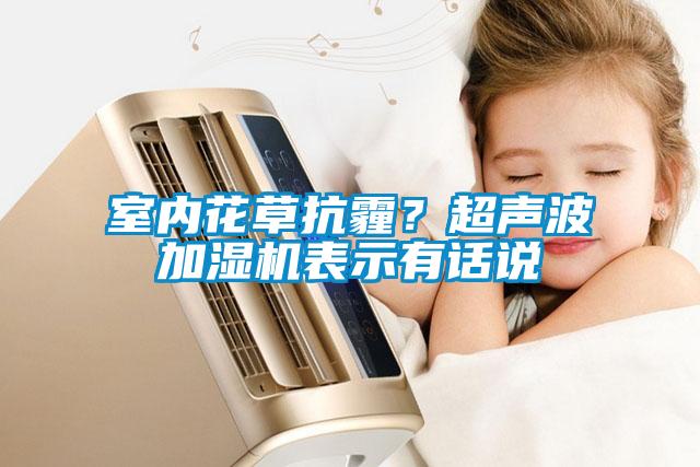 室內(nèi)花草抗霾？超聲波加濕機(jī)表示有話說